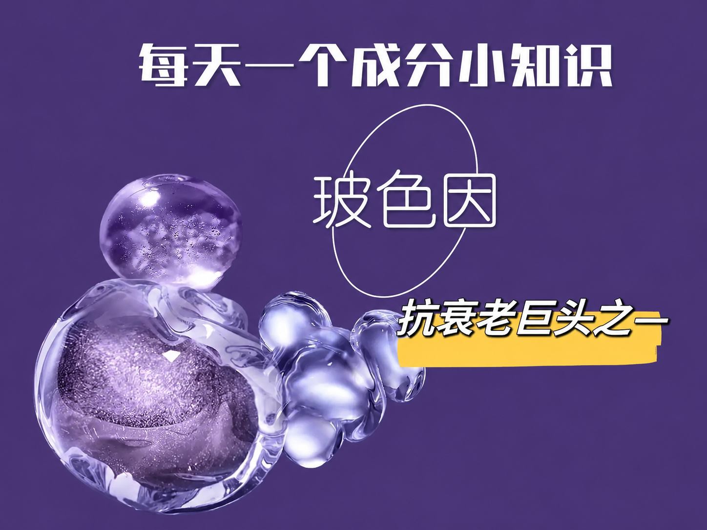 产品展示